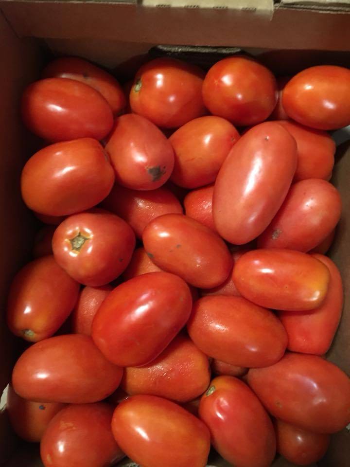 El Eden | restaurant | 1314 Madison St, Shelbyville, TN 37160, USA | 9317350847 OR +1 931-735-0847