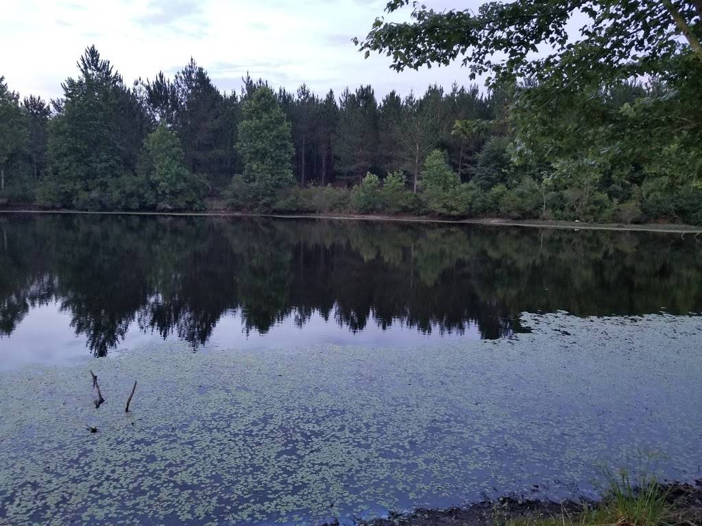 Barbara Deans Steakhouse | restaurant | 7460 Hatch Pkwy S, Baxley, GA 31513, USA | 9123660300 OR +1 912-366-0300