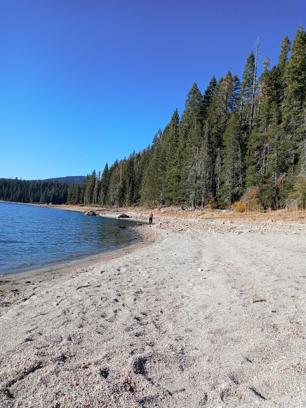 Bucks Lakeshore Resort | restaurant | 16001 Bucks Lake Rd, Quincy, CA 95971, USA | 5302832848 OR +1 530-283-2848