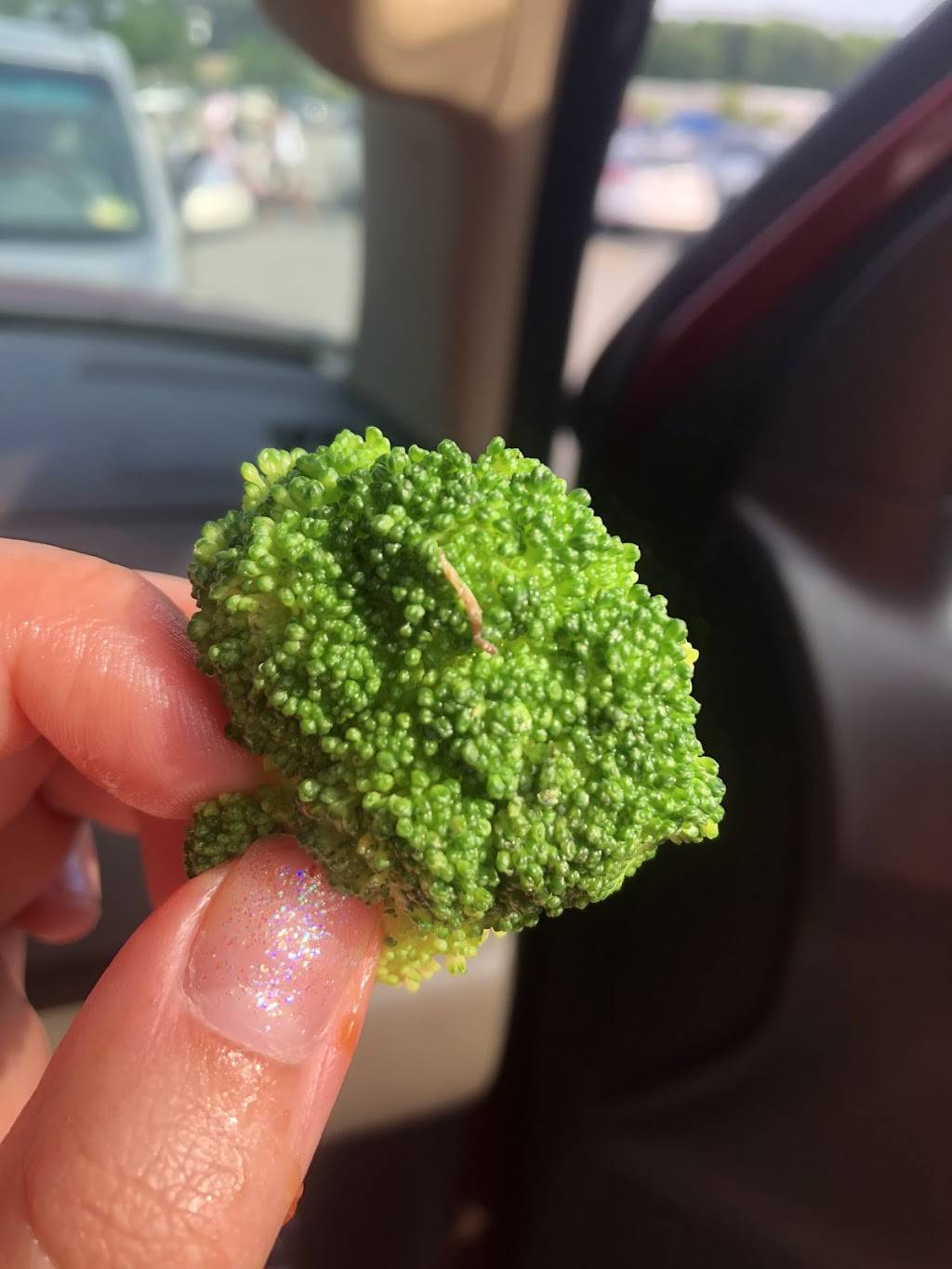 Great Wall Chinese Restaurant | restaurant | 1400 Kempsville Rd #104, Chesapeake, VA 23320, USA | 7574363357 OR +1 757-436-3357