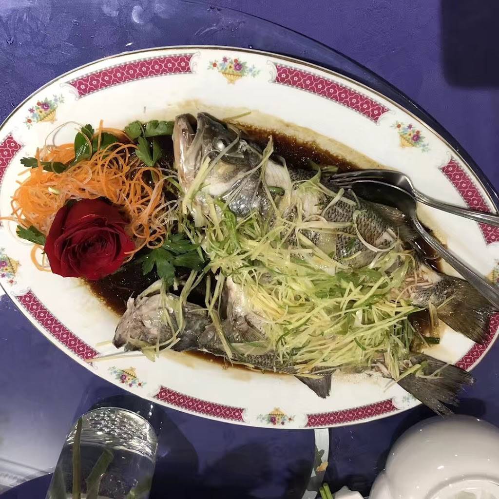 Golden Dynasty Restaurant | restaurant | 175 West Ave, Kitchener, ON N2G 1R9, Canada | 5199548878 OR +1 519-954-8878