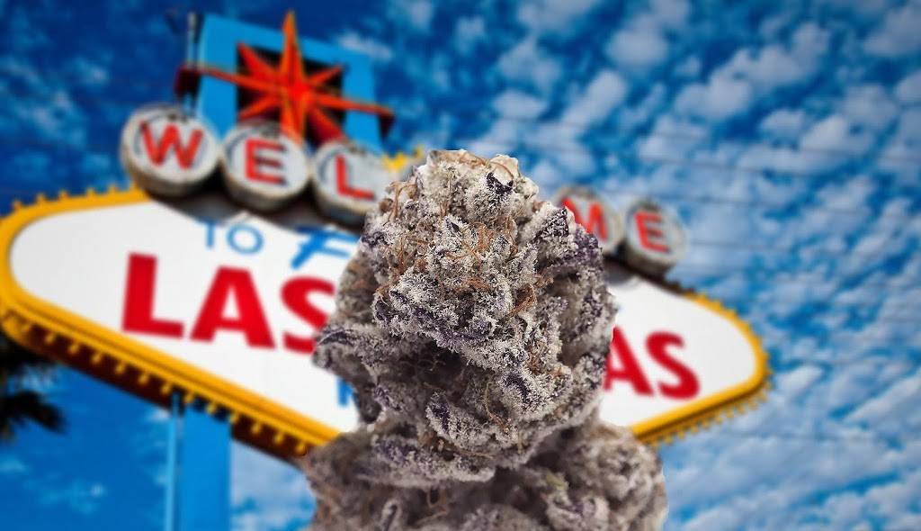 Dennys | restaurant | 3230 Losee Rd, North Las Vegas, NV 89030, USA | 7026497671 OR +1 702-649-7671