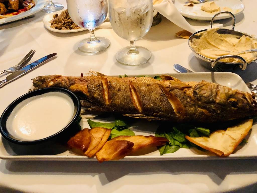 Phoenicia Restaurant | restaurant | 588 S Old Woodward Ave, Birmingham, MI 48009, USA | 2486443122 OR +1 248-644-3122