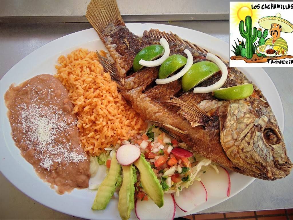 Taqueria Los Cachanillas | restaurant | 1880 Monument Blvd, Concord, CA 94520, USA | 9252703616 OR +1 925-270-3616