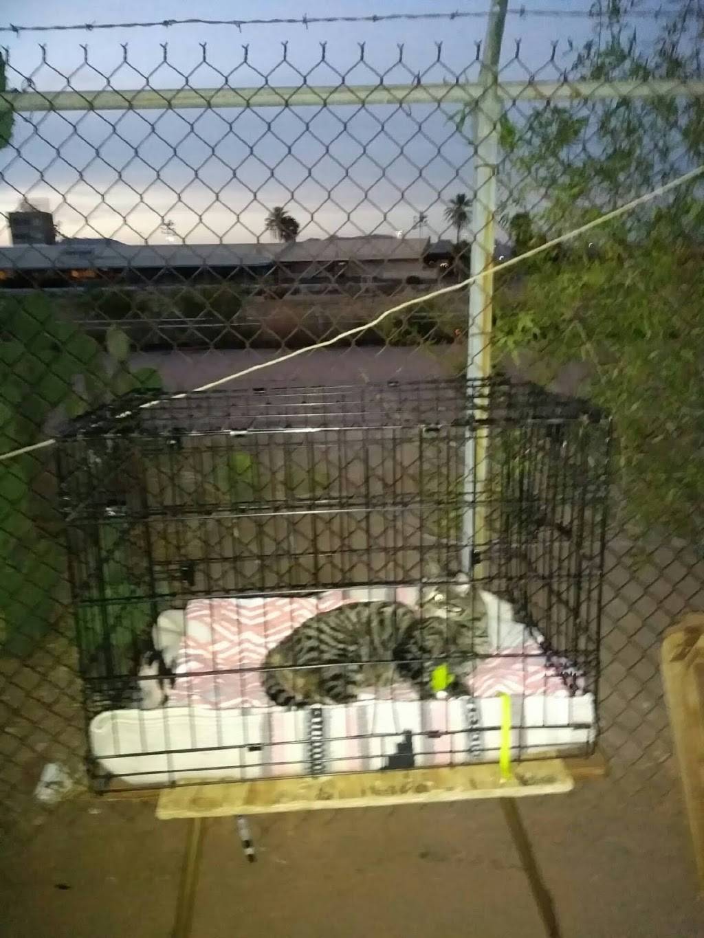 Apache Greyhound Park | restaurant | 220 S Delaware Dr, Apache Junction, AZ 85120, USA | 4809822371 OR +1 480-982-2371