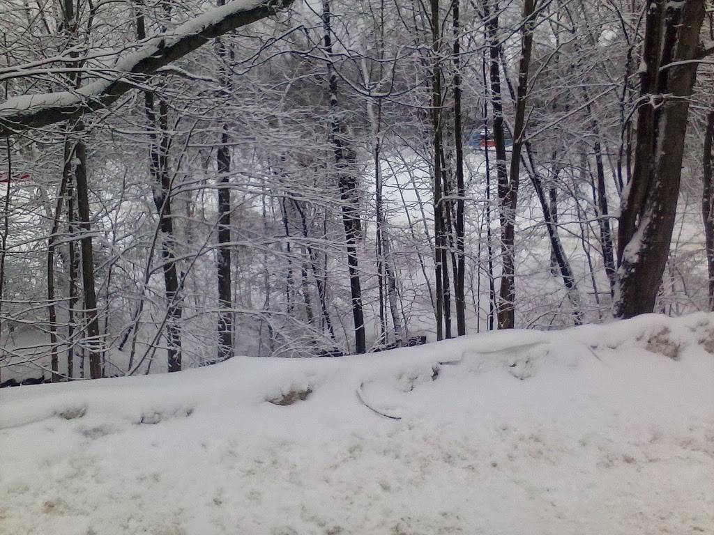 American Italian Civic Club | restaurant | 476 Boyden St, Waterbury, CT 06704, USA | 2037577553 OR +1 203-757-7553