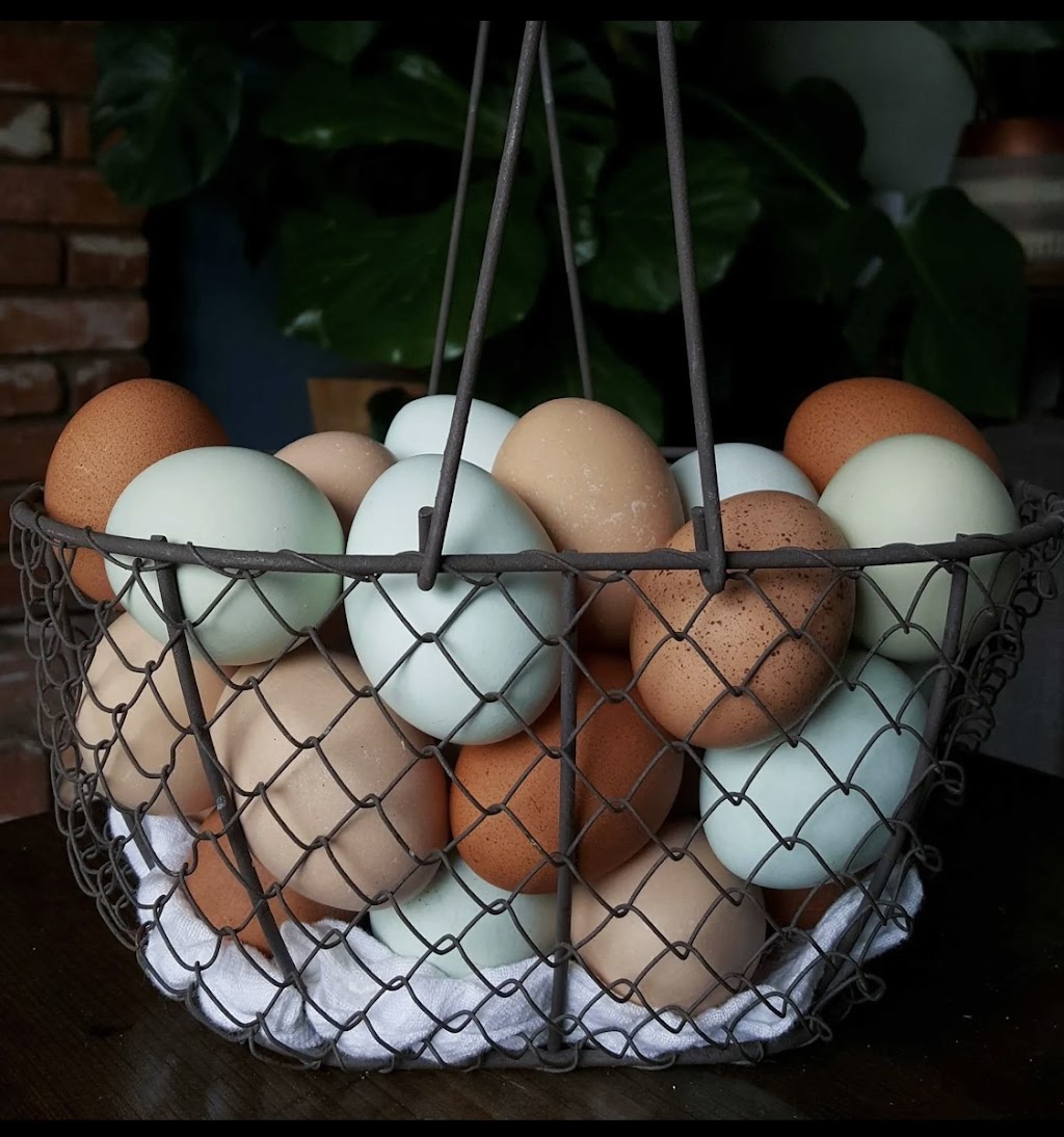 For His Glory Farm | restaurant | Lancewood Cir S, Port Orange, FL 32127, USA | 3863104047 OR +1 386-310-4047