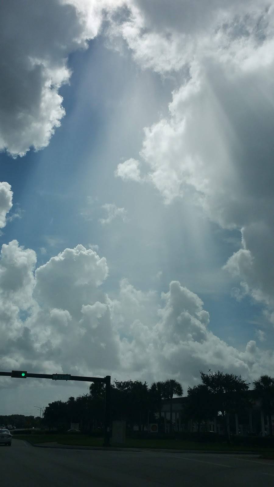 Rainbow Dragon | restaurant | 17523 Pines Blvd, Pembroke Pines, FL 33029, USA | 9543929774 OR +1 954-392-9774