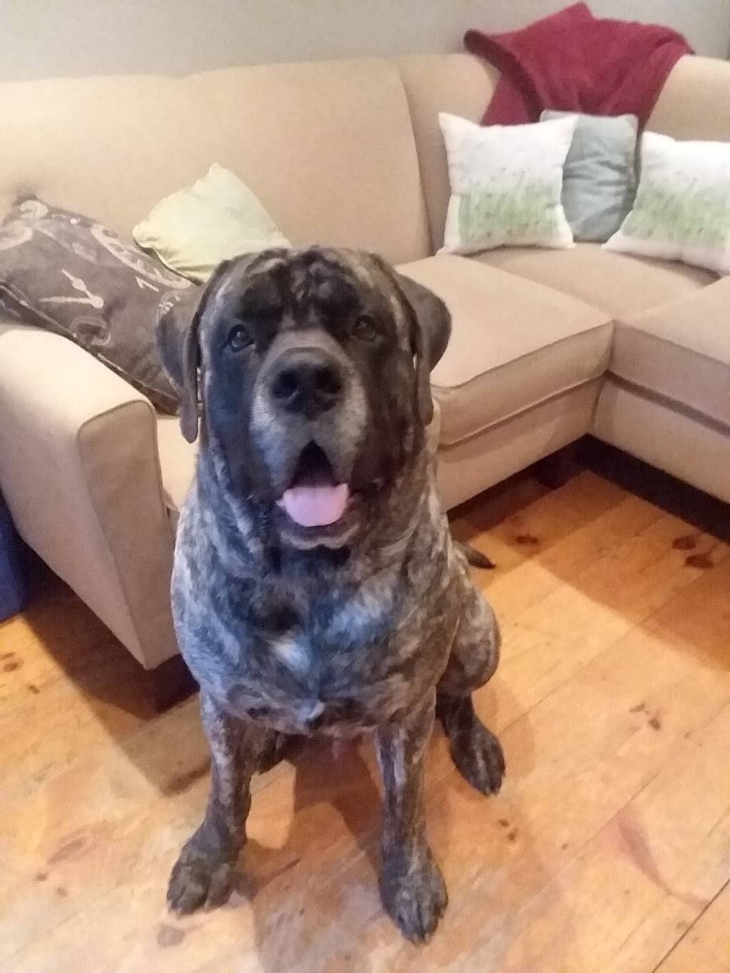 New Kun Garden | restaurant | 106 Rte 13, Brookline, NH 03033, USA | 6036727228 OR +1 603-672-7228