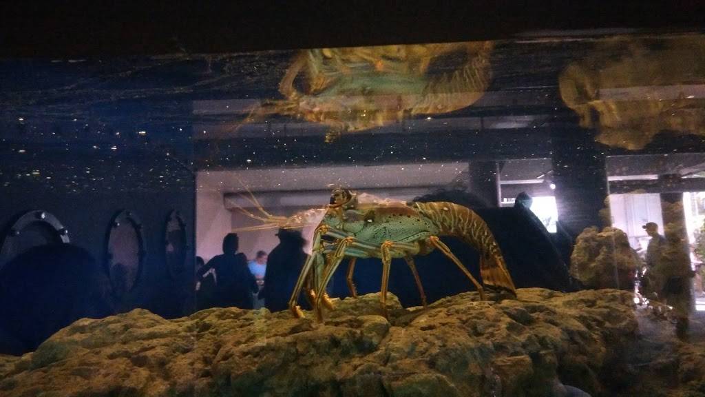 Salad Factory | restaurant | 1509 Fifth Ave, Pittsburgh, PA 15219, USA | 4129181779 OR +1 412-918-1779