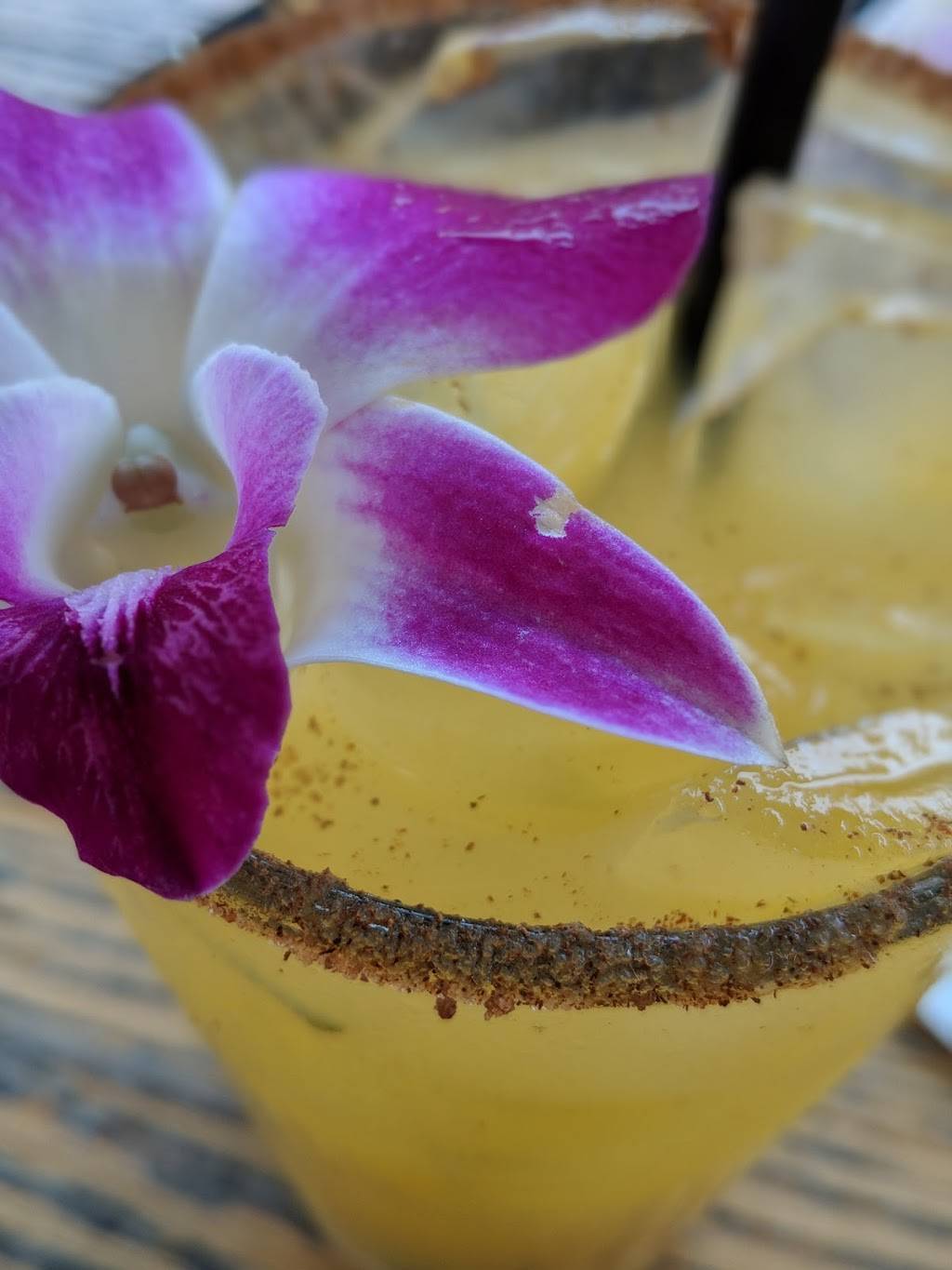 No Ka Oi | restaurant | 215 Main St, Huntington Beach, CA 92648, USA | 7149608300 OR +1 714-960-8300