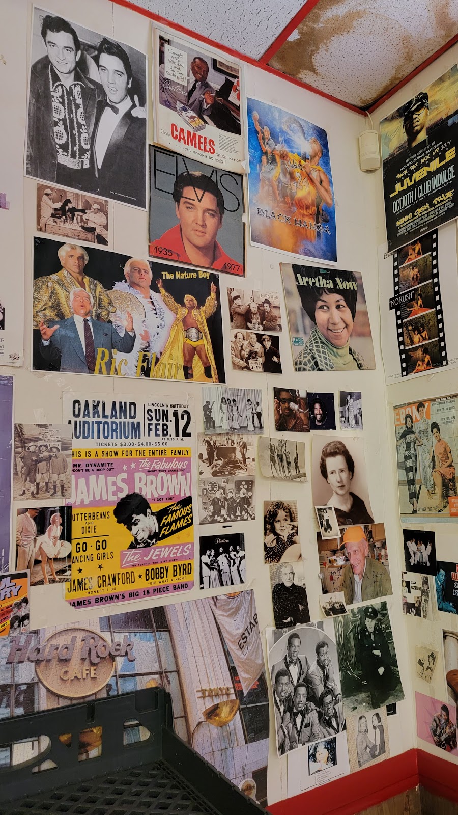 Scotts Place | restaurant | 4700 Asheville Hwy, Knoxville, TN 37914, USA | 8655257771 OR +1 865-525-7771