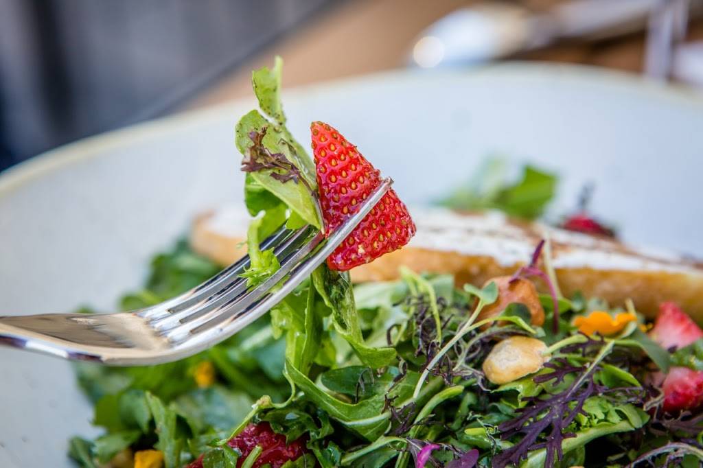 Moss + Oak Savannah Eatery | restaurant | 2 W Bay St, Savannah, GA 31401, USA | 9127214593 OR +1 912-721-4593