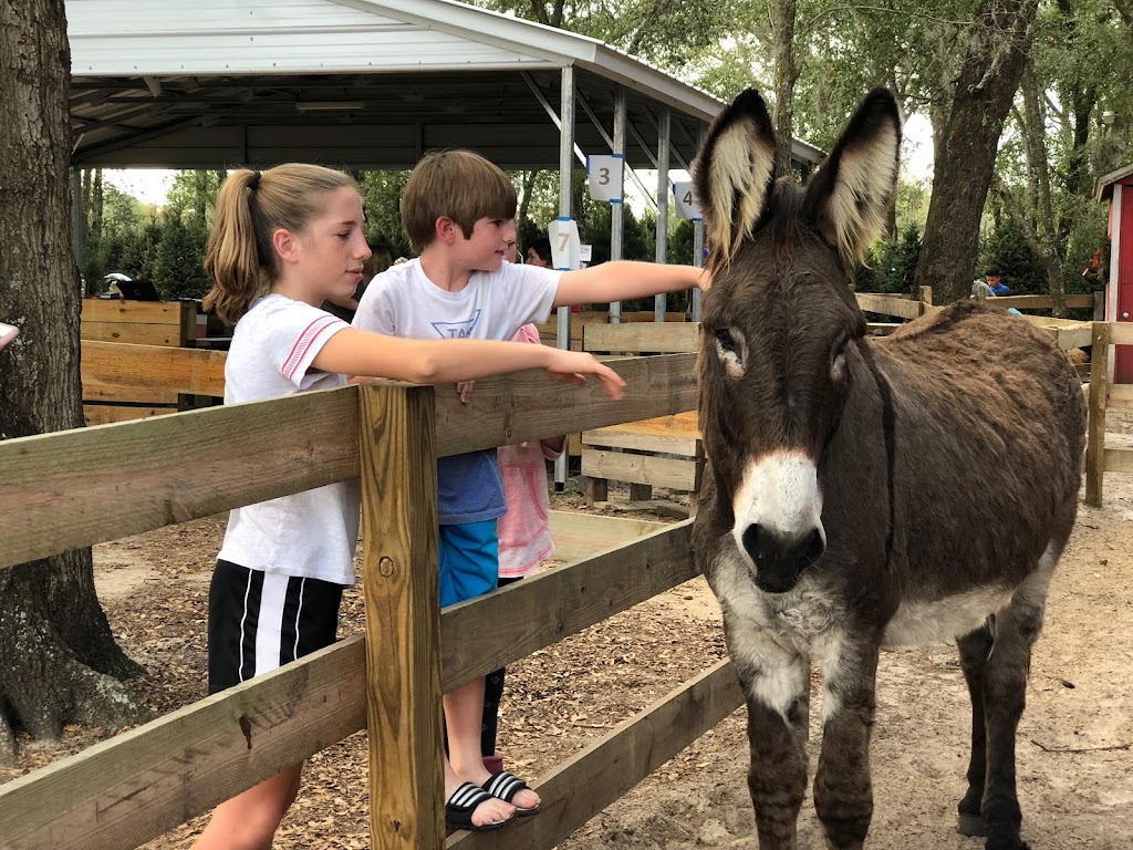 Santa’s Farm - Reservations Required | restaurant | 35317 Huff Rd, Eustis, FL 32736, USA | 3523579863 OR +1 352-357-9863