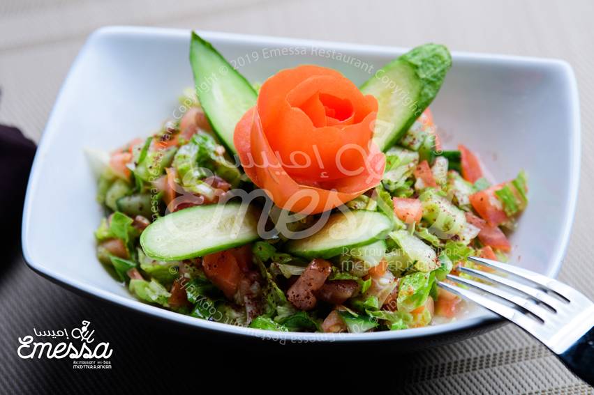 Emessa Restaurant,Bar & Hookah Lounge | restaurant | 6315 Leesburg Pike, Falls Church, VA 22044, USA | 5712823352 OR +1 571-282-3352