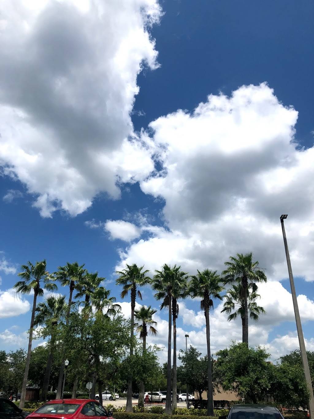 Starbucks | cafe | 13851 S John Young Pkwy, Orlando, FL 32837, USA | 4078597745 OR +1 407-859-7745