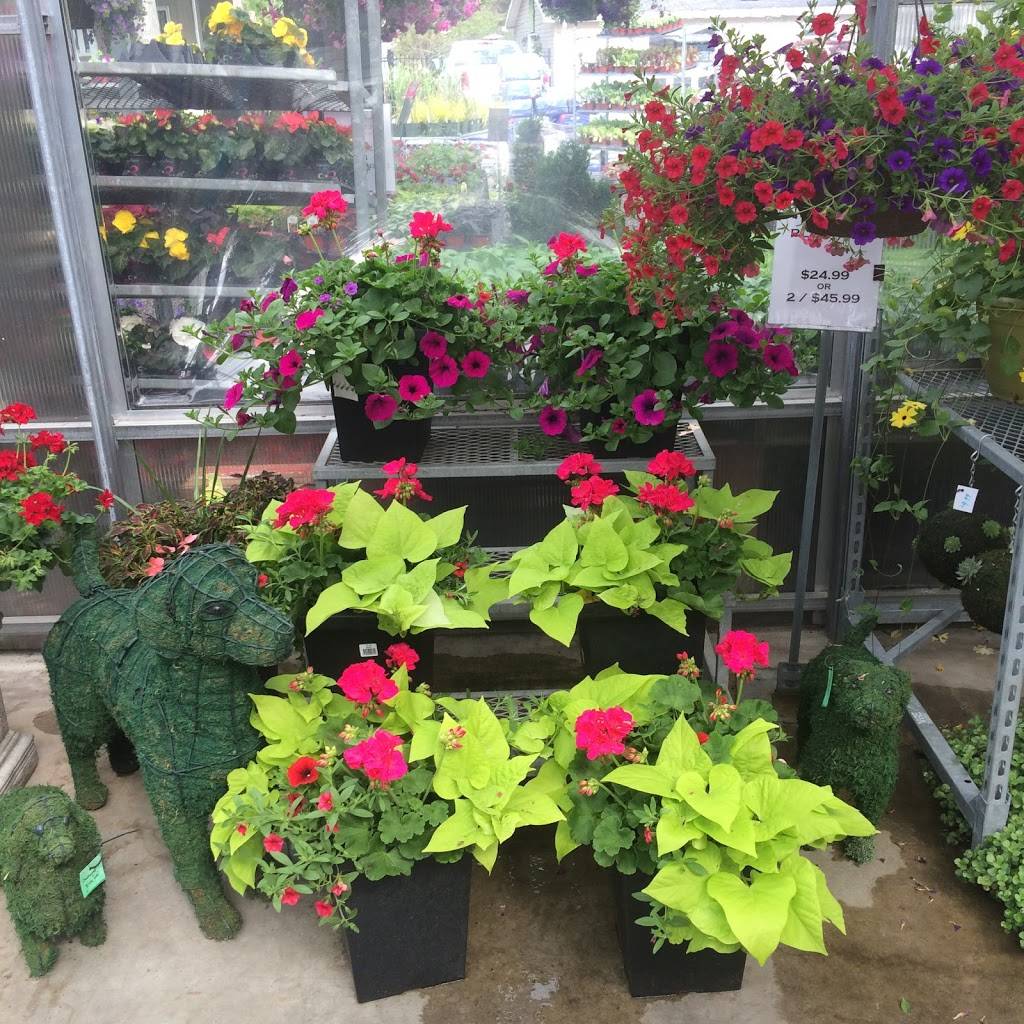 Wildhagen Greenhouses | restaurant | 7291 Milburough Line, Milton, ON L0P 1B0, Canada | 9056898427 OR +1 905-689-8427