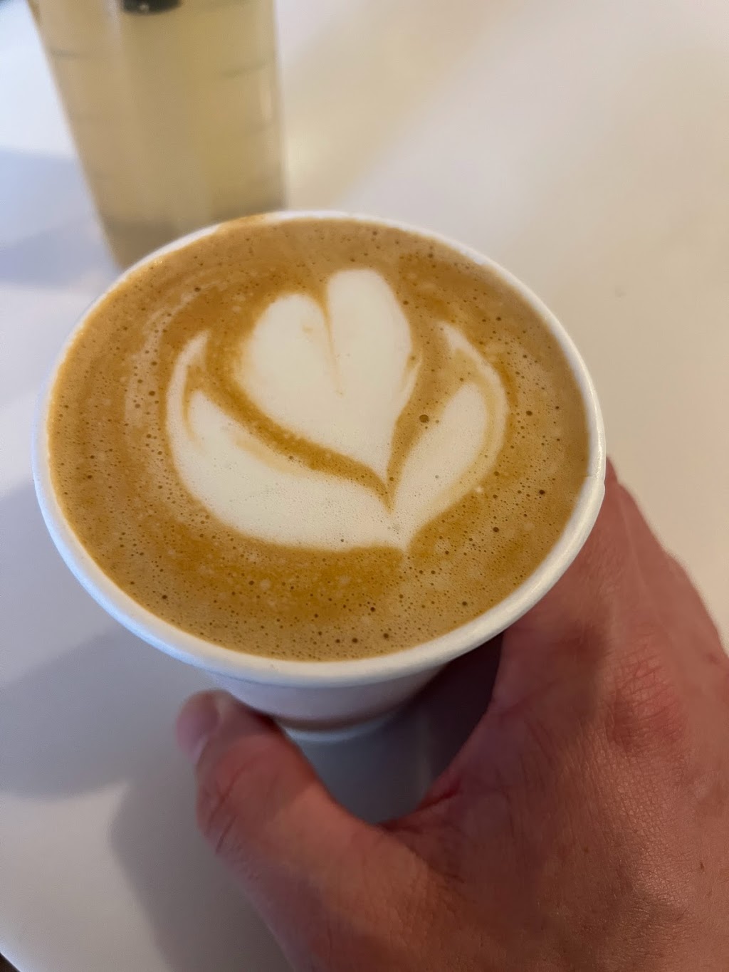 Familiars Vegan Coffee Shop | cafe | 94 Ralph Ave, Brooklyn, NY 11221, USA | 3472952574 OR +1 347-295-2574