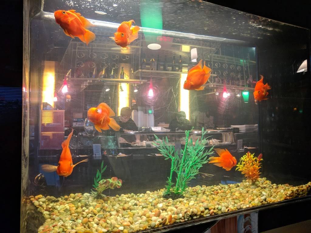 Fontana Sushi | meal delivery | 534 E Alameda Ave, Denver, CO 80209, USA | 3037788818 OR +1 303-778-8818