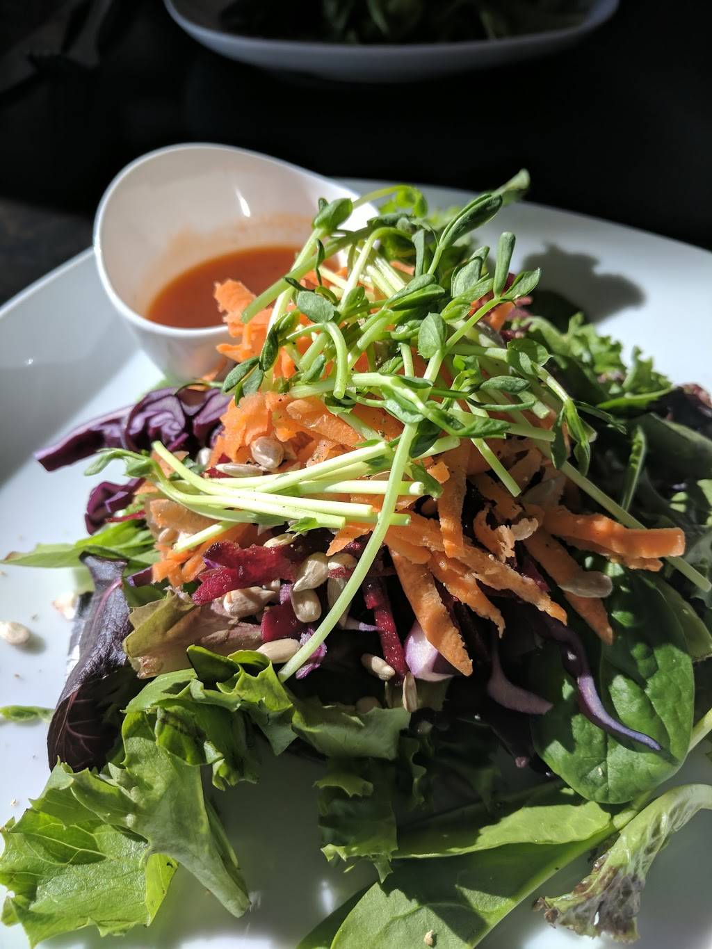 Atmosphere Cafe | restaurant | 24 Carden St, Guelph, ON N1H 3A2, Canada | 5198240430 OR +1 519-824-0430