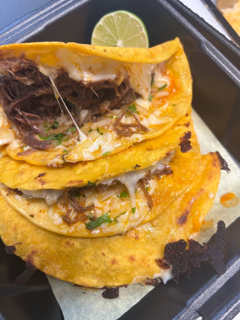 EL GORDO MEXICAN GRILL #9 | restaurant | 6730 W Cactus Rd, Peoria, AZ 85381, USA | 6028563007 OR +1 602-856-3007