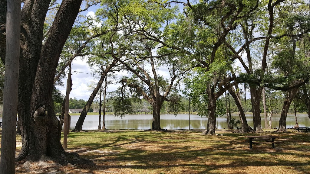 Golden Dragon | restaurant | 237 FL-71, Wewahitchka, FL 32465, USA | 8506393999 OR +1 850-639-3999