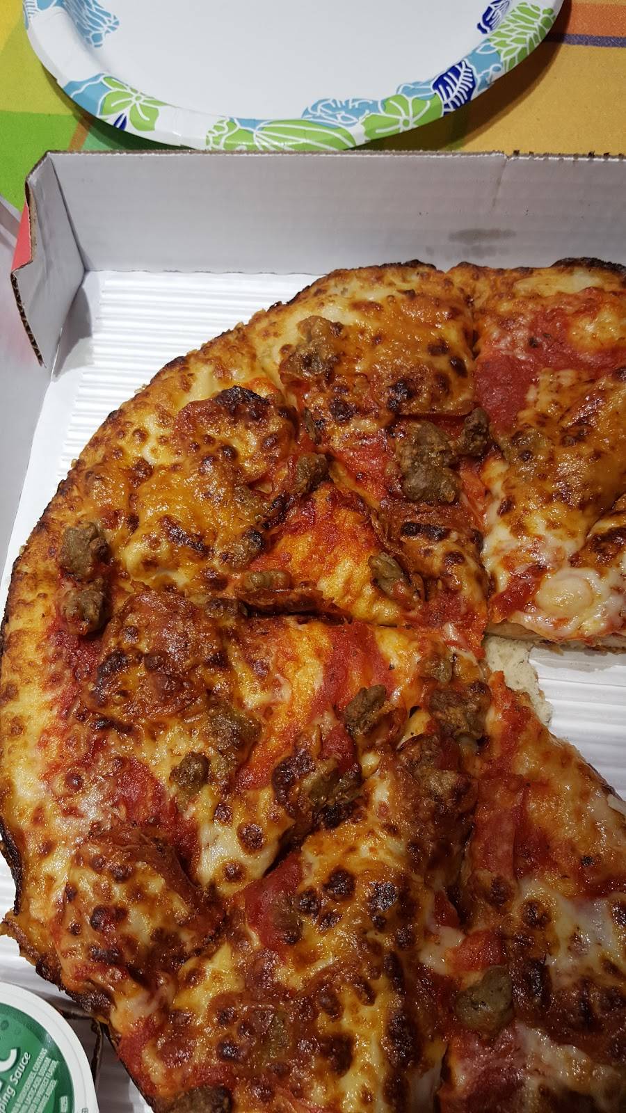 Papa Johns Pizza | restaurant | 1098 Overcash Dr, Dunedin, FL 34698, USA | 7277337200 OR +1 727-733-7200