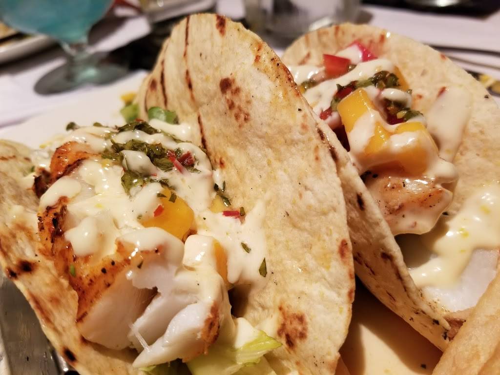 Bonefish Grill | restaurant | 3665 Henderson Blvd, Tampa, FL 33609, USA | 8138763535 OR +1 813-876-3535