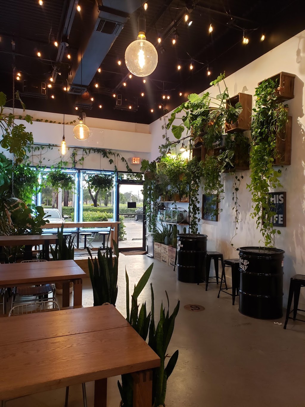 Leafy | restaurant | 641 NW 100th Pl, Pembroke Pines, FL 33024, USA | 9545054061 OR +1 954-505-4061