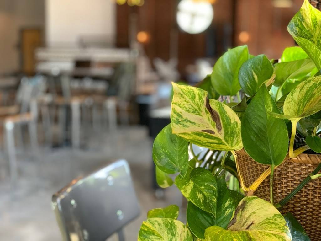 Free Will - Craft + Vine | restaurant | 3701 N Davidson St Suite 201, Charlotte, NC 28205, USA | 9802257031 OR +1 980-225-7031