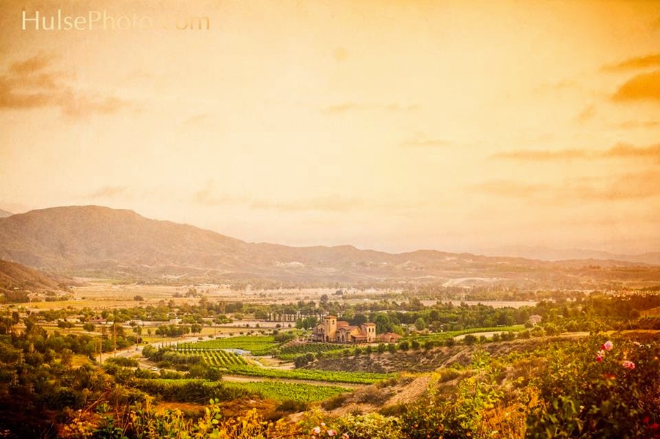 Robert Renzoni Vineyards | restaurant | 37350 De Portola Rd, Temecula, CA 92592, USA | 9513028466 OR +1 951-302-8466