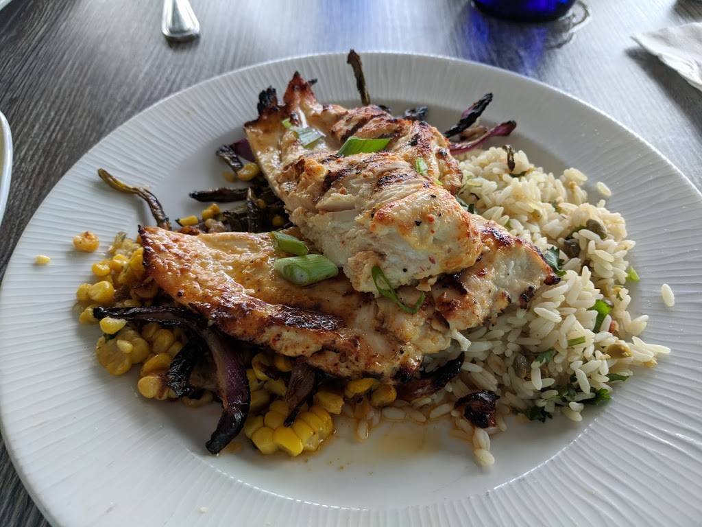 Marina Cantina | restaurant | 25 Causeway Blvd, Clearwater, FL 33767, USA | 7274431750 OR +1 727-443-1750