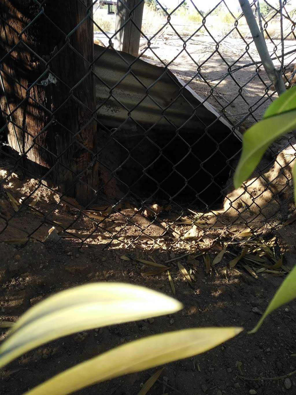 Apache Greyhound Park | restaurant | 220 S Delaware Dr, Apache Junction, AZ 85120, USA | 4809822371 OR +1 480-982-2371