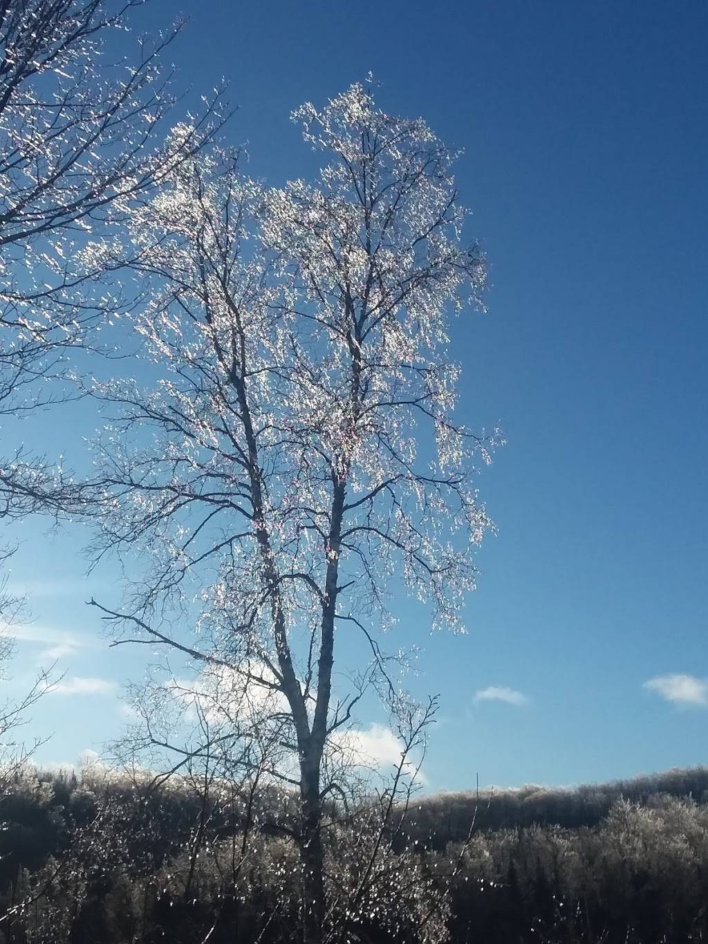 Nake Maple LLC | restaurant | 1547 Bricketts Crossing, West Danville, VT 05873, USA | 4066478535 OR +1 406-647-8535