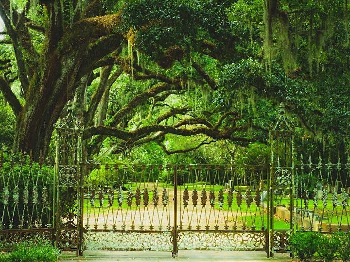 Audubons Cafe | restaurant | 1, St Francisville, LA 70775, USA | 2256355446 OR +1 225-635-5446