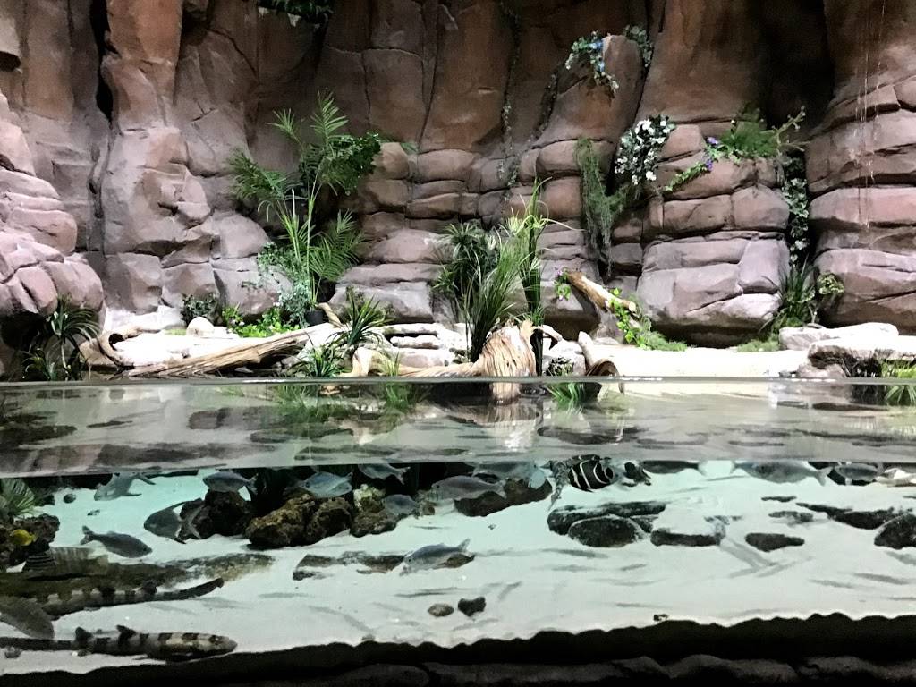 Downtown Aquarium | restaurant | 700 Water St, Denver, CO 80211, USA | 3035614450 OR +1 303-561-4450