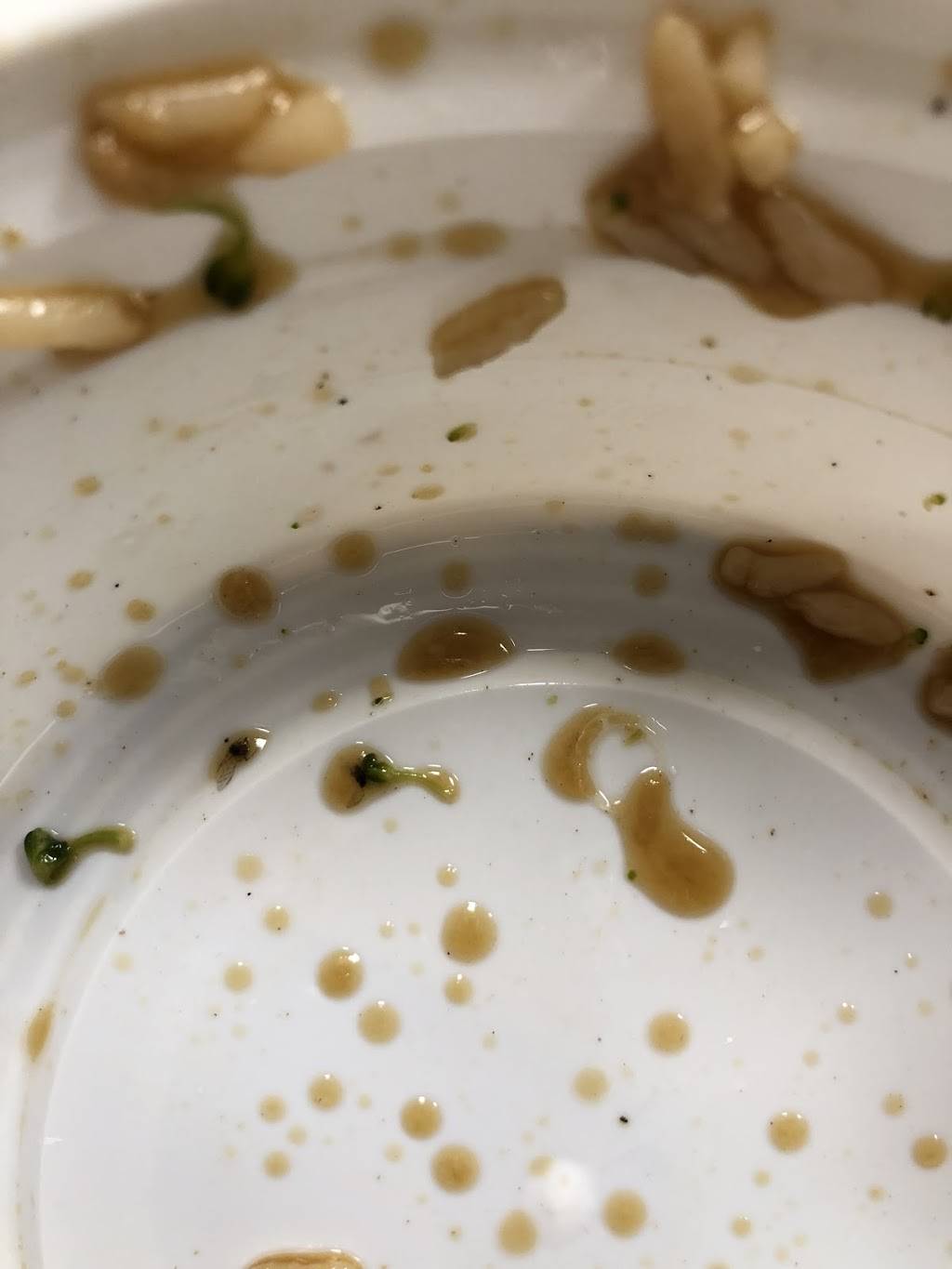 New Chef Carry Out Restaraunt | meal takeaway | 6604 Belair Rd, Baltimore, MD 21206, USA | 4104268888 OR +1 410-426-8888