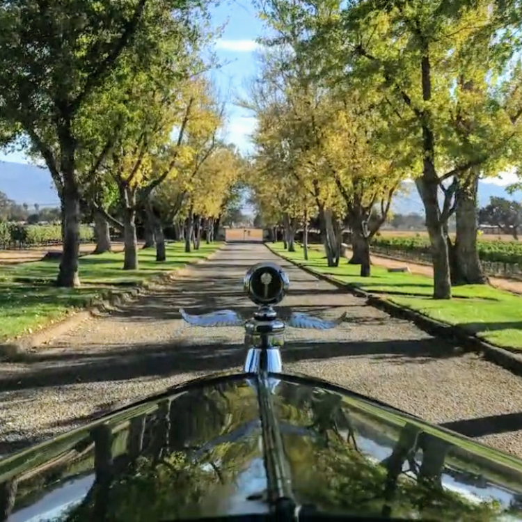 805 Vintage Ride LLC | restaurant | 3119 Tiana Dr, Santa Ynez, CA 93460, USA | 8059440819 OR +1 805-944-0819