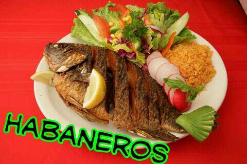 Casa Fiesta Restaurant and Grill | restaurant | 455, Lenoir City, TN 37771, USA | 8658161041 OR +1 865-816-1041