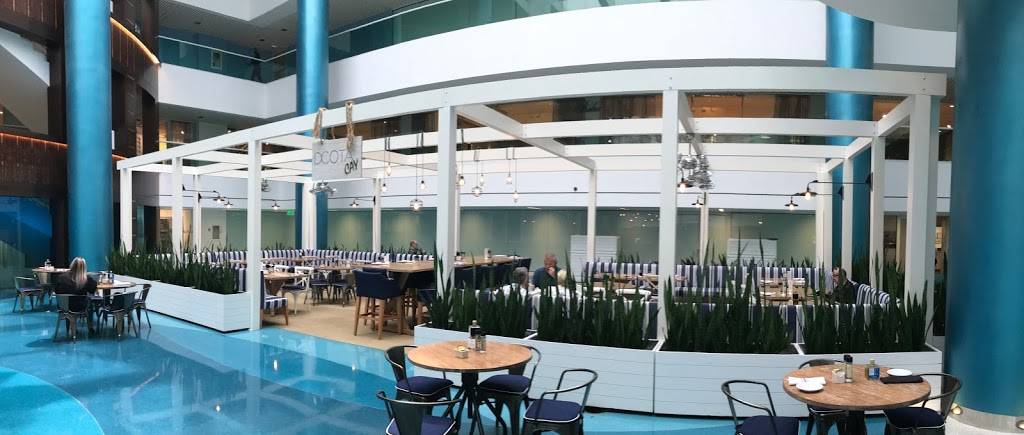 DCOTA CAY Café | cafe | 1855 FL-818, Dania Beach, FL 33004, USA | 9543625512 OR +1 954-362-5512