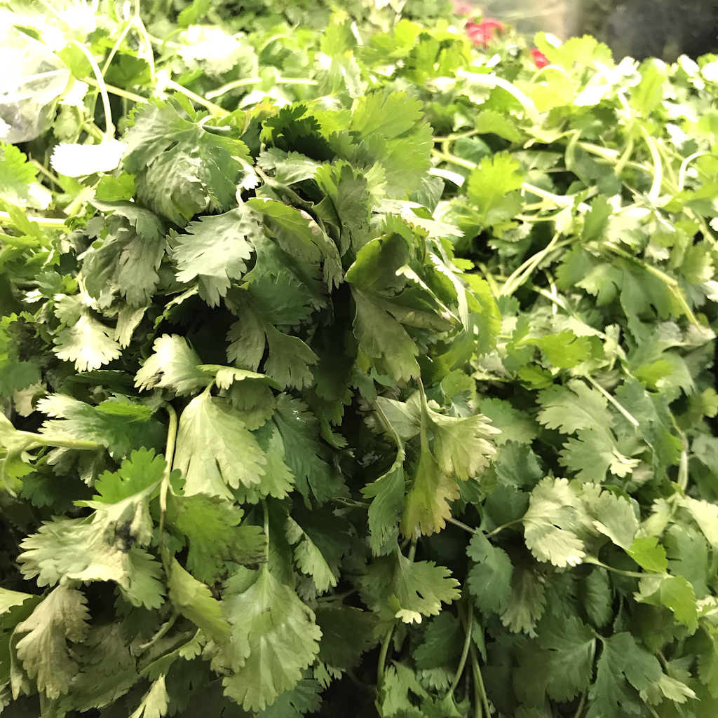 Laylas Kitchen | restaurant | 17120 N Friant Rd, Friant, CA 93626, USA | 5598011616 OR +1 559-801-1616