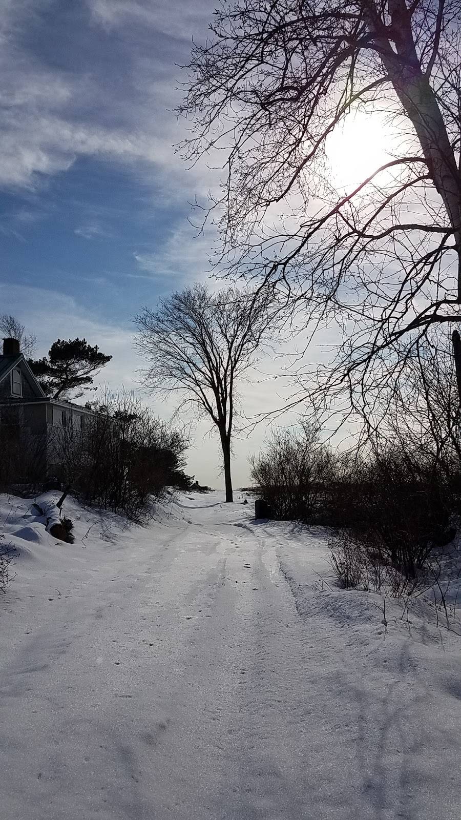 Bailey Island Lobster Co. | restaurant | 51 Abner Point Rd, Bailey Island, ME 04003, USA | 2078336099 OR +1 207-833-6099