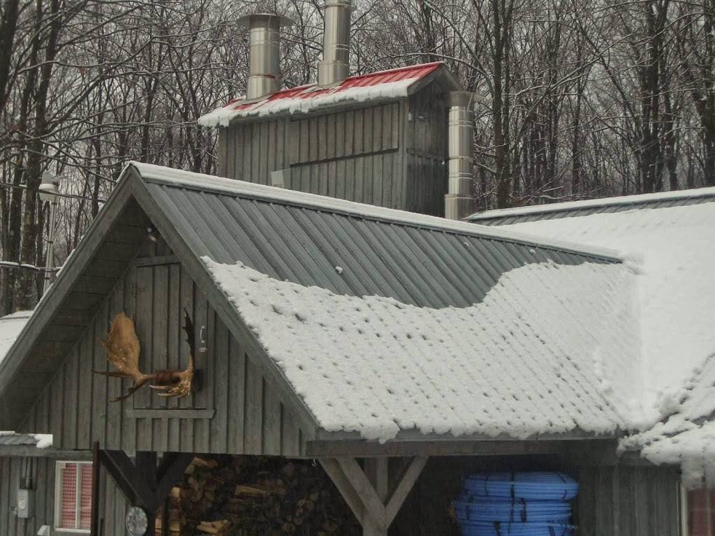 Érablière Yamaska | restaurant | La Haute, Yamaska, 1920 Boulevard David Bouchard, Roxton Pond, QC J0E 1Z0, Canada | 4504057828 OR +1 450-405-7828