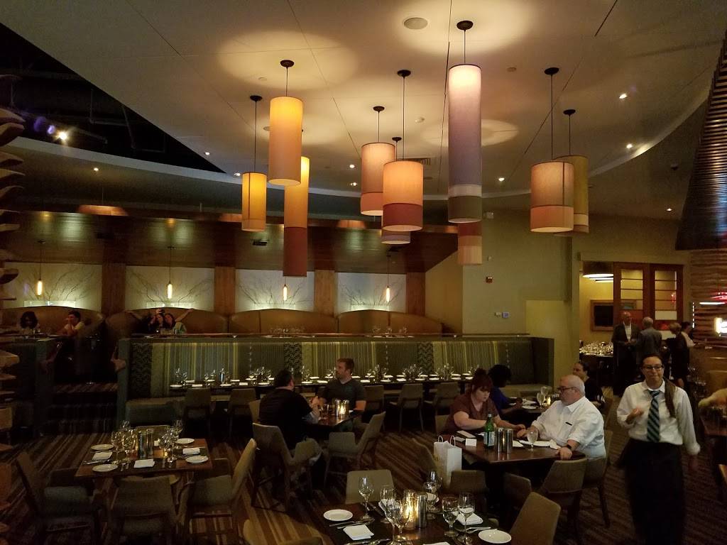 black & blue steak and crab, Buffalo NY | restaurant | 5493 Sheridan Dr, Amherst, NY 14221, USA | 7168392525 OR +1 716-839-2525