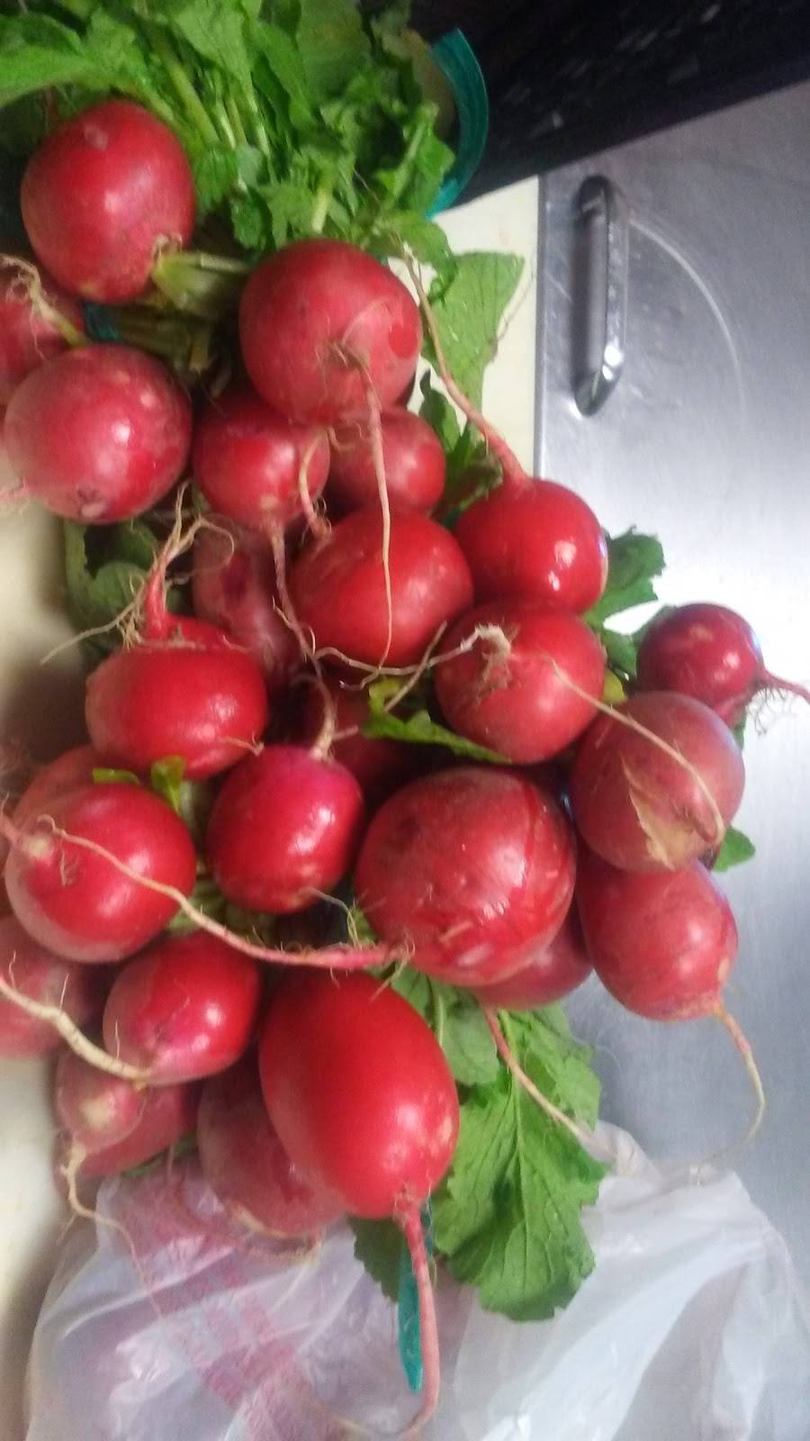 Taqueria Don Taco | restaurant | 8111 Long Point Rd, Houston, TX 77055, USA | 8322695301 OR +1 832-269-5301