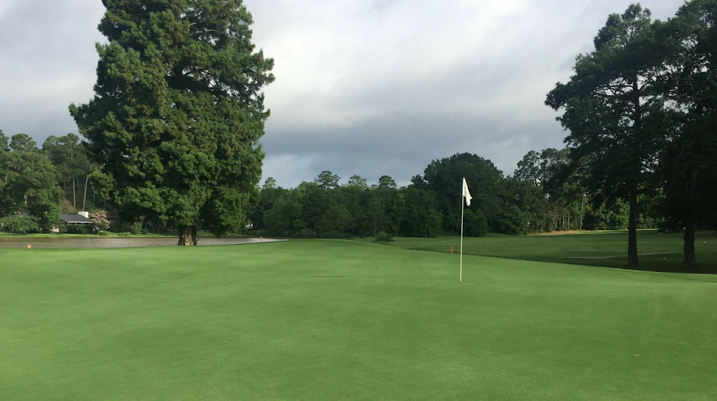 Panorama Golf Club | restaurant | 73 Greenbriar Dr, Conroe, TX 77304, USA | 9362097510 OR +1 936-209-7510