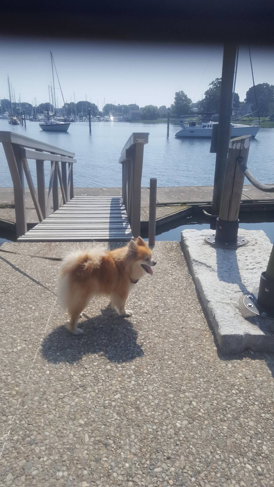 Wickford on the Water | restaurant | 83 Brown St, North Kingstown, RI 02852, USA | 4012947900 OR +1 401-294-7900