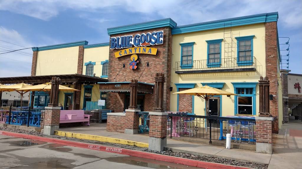 Blue Goose Cantina | restaurant | 2329 4757 West Park Boulevard #101 Berkeley Square, Plano, TX 75093, USA | 9725968882 OR +1 972-596-8882