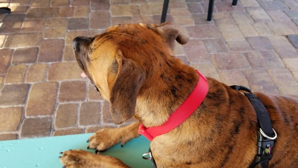 Whiskey Beach Pub | restaurant | 1132 Nathan Lester Highway 1, Satellite Beach, FL 32937, USA | 3217777228 OR +1 321-777-7228