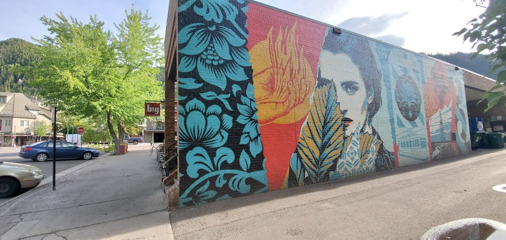 Big Wrap | restaurant | 520 E Durant Ave #101, Aspen, CO 81611, USA | 9705441700 OR +1 970-544-1700